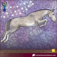 Horse Color:White Spotted Silver Grullo 