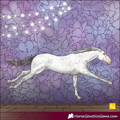 Horse Color:Amber Champagne Sabino Frame Blanket