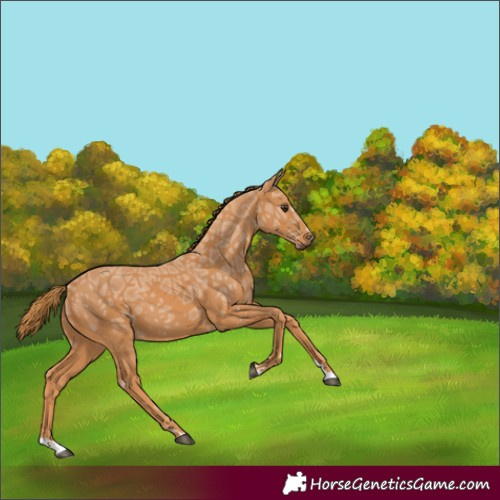 Horse Color:Chestnut Ice 