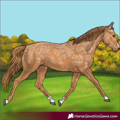 Horse Color:Chestnut Ice 