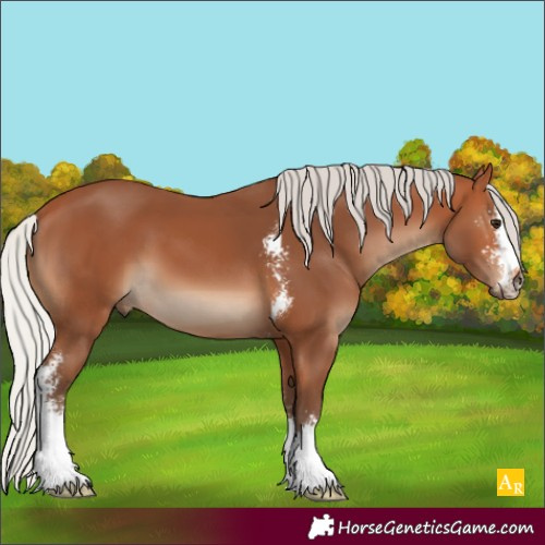 Horse Color:Silver Bay Sabino 