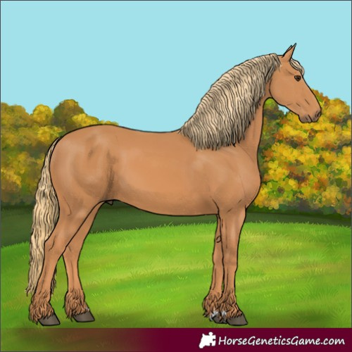 Horse Color:Unknown 