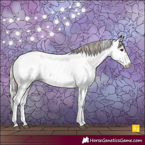 Horse Color:Silver Brown Sabino Near Fewspot Rabicano 