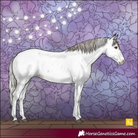 Horse Color:Silver Brown Sabino Near Fewspot Rabicano 