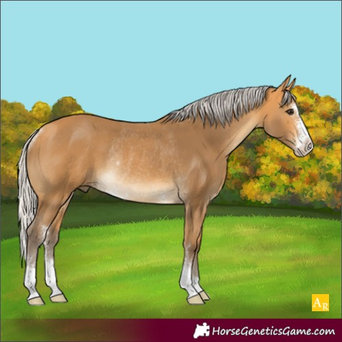 Horse Color:Silver Buckskin Sabino Rabicano 