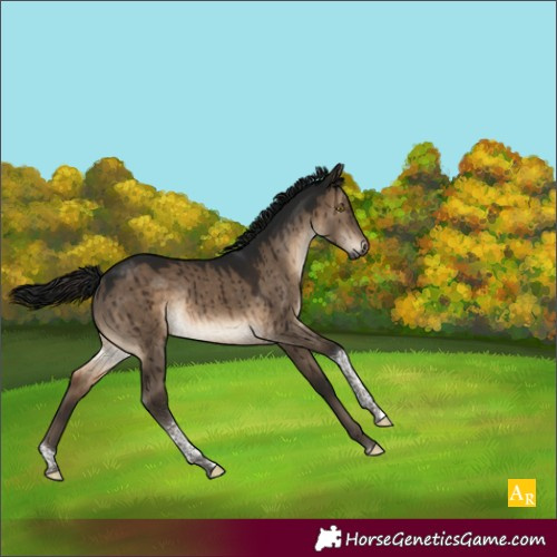 Horse Color:Gray Brown Dun Tobiano Rabicano Brindle 