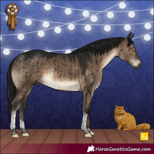 Horse Color:Gray Brown Dun Tobiano Rabicano Brindle 