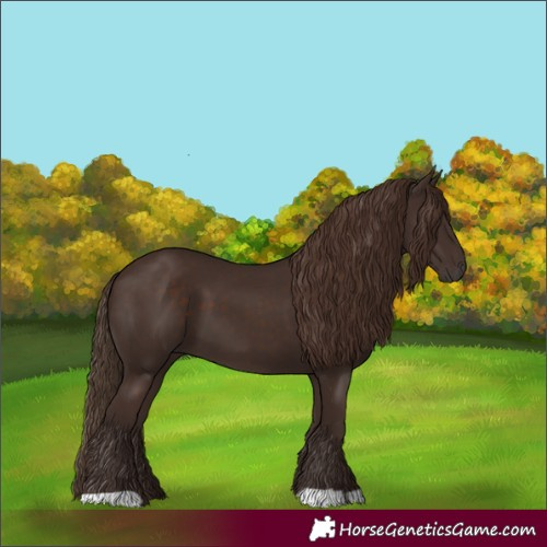 Horse Color:Liver Chestnut 