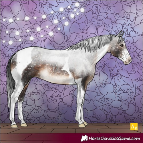 Horse Color:Brown Sabino Tobiano Appaloosa Rabicano 