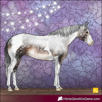 Horse Color:Brown Sabino Tobiano Blanket Rabicano 