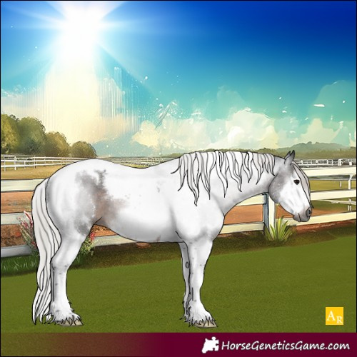 Horse Color:Gray White Spotted Silver Brown Splash Tobiano Frame Rabicano 
