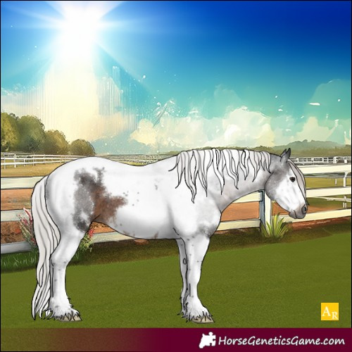 Horse Color:Gray White Spotted Silver Brown Splash Tobiano Frame Rabicano
