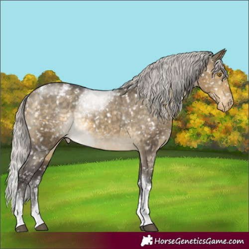 Horse Color:Silver Buckskin Dun Tobiano Snowflake Varnish Rabicano 