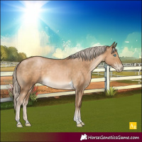 Horse Color:Chocolate Palomino Pearl Tobiano Rabicano