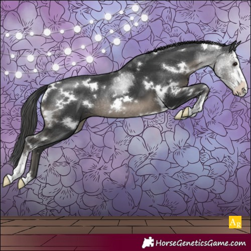 Horse Color:White Spotted Black Sabino Rabicano