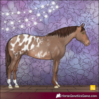 Horse Color:Sable Champagne Blanket Rabicano 