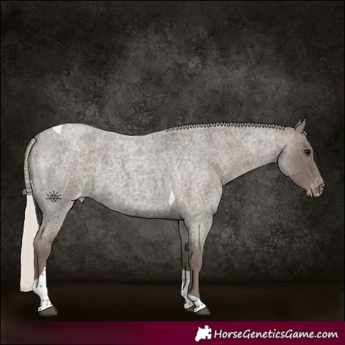 Horse Color:Silver Blue Roan Tobiano Varnish 