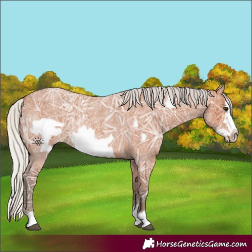 Horse Color:Silver Bay Ice Roan Frame 