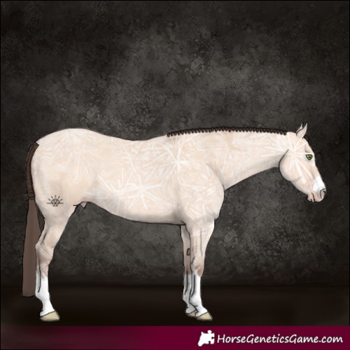 Horse Color:Amber Champagne Ice Dun 