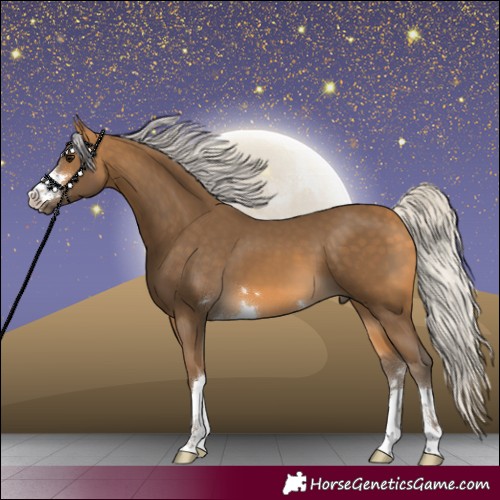 Horse Color:Silver Buckskin 