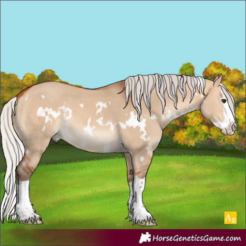 Horse Color:White Spotted Silver Bay Dun Sabino Splash 