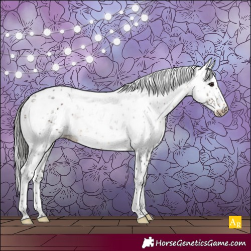 Horse Color:Brown Sabino 