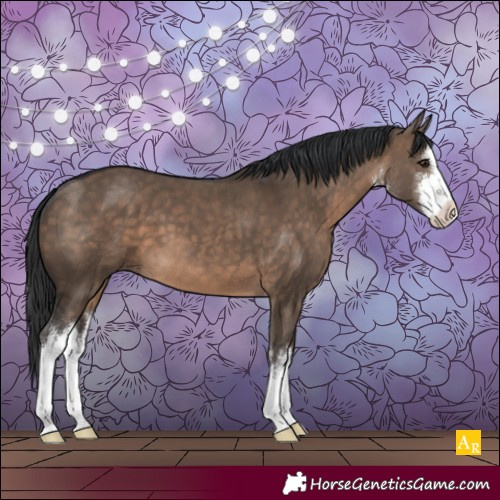 Horse Color:White Spotted Brown Dun 