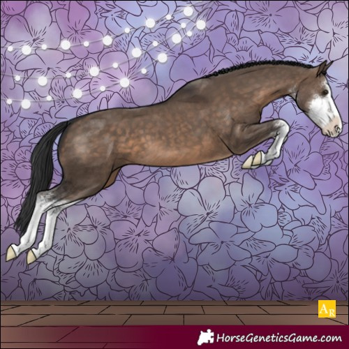 Horse Color:White Spotted Brown Dun