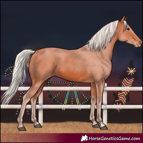 Horse Color:Silver Bay Varnish 