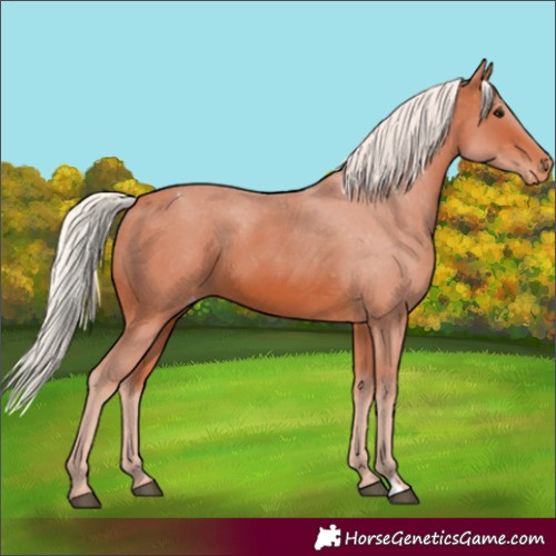 Horse Color:Silver Bay Varnish 
