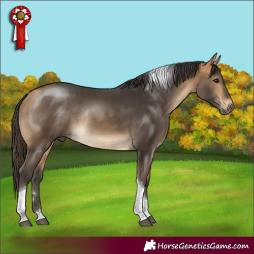 Horse Color:Buckskin Tobiano Rabicano 