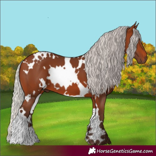 Horse Color:White Spotted Silver Brown 