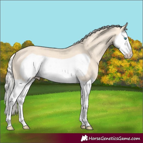 Horse Color:Cremello Splash Frame 