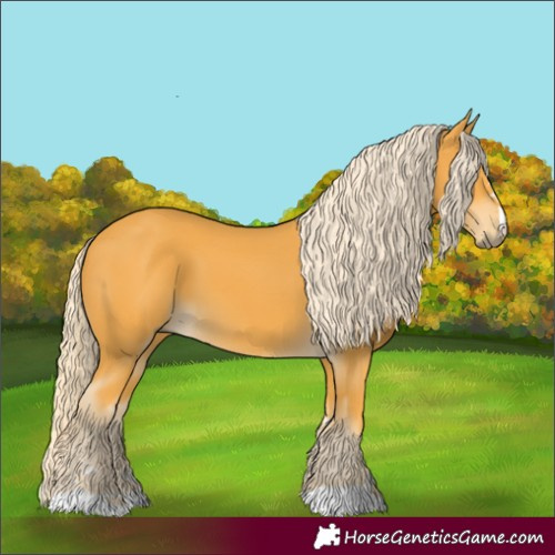 Horse Color:Palomino 