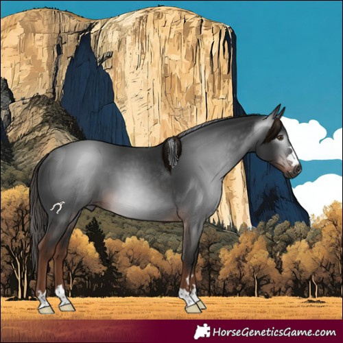 Horse Color:Gray Liver Chestnut