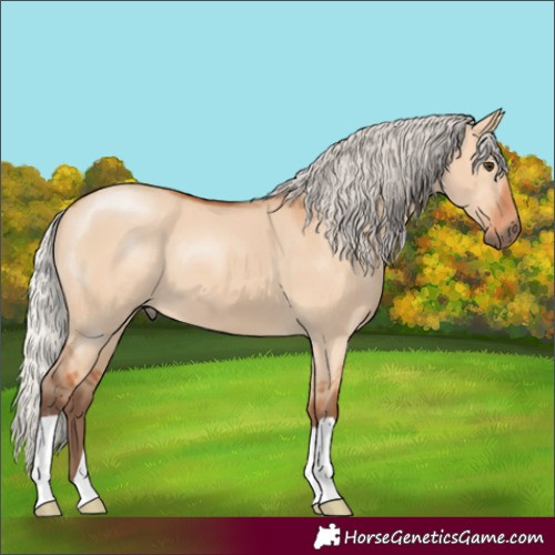 Horse Color:Silver Bay Dun 