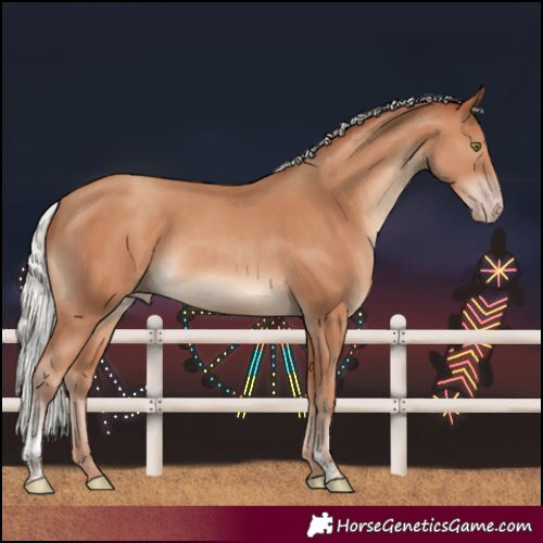 Horse Color:Silver Classic Champagne Sabino Rabicano 