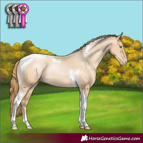 Horse Color:Smoky Black Pearl Tobiano Appaloosa Rabicano 