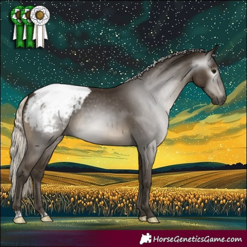 Horse Color:Gray Silver Smoky Black Snowcap Rabicano 