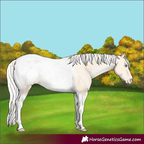 Horse Color:Silver Classic Cream Champagne Pearl Tobiano Appaloosa 
