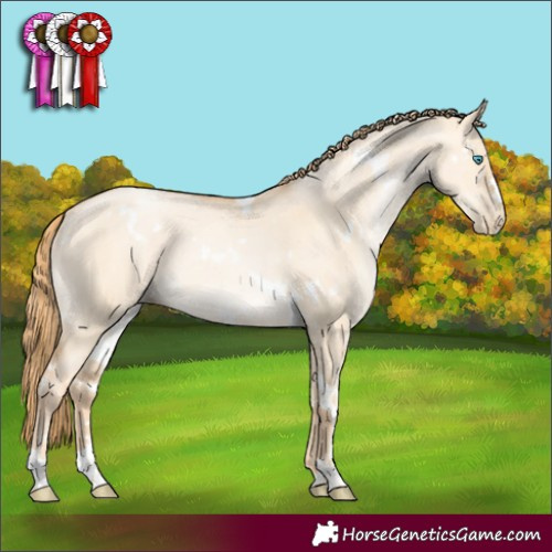 Horse Color:White Spotted Gold Champagne Pearl Dun 
