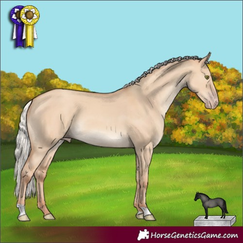 Horse Color:Silver Classic Champagne Dun 