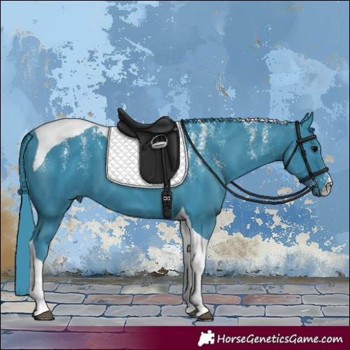 Horse Color:Powder White Watercolor Black Tobiano