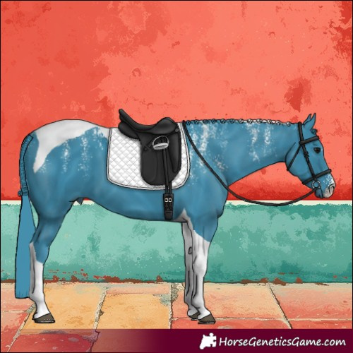 Horse Color:Powder White Watercolor Black Tobiano 