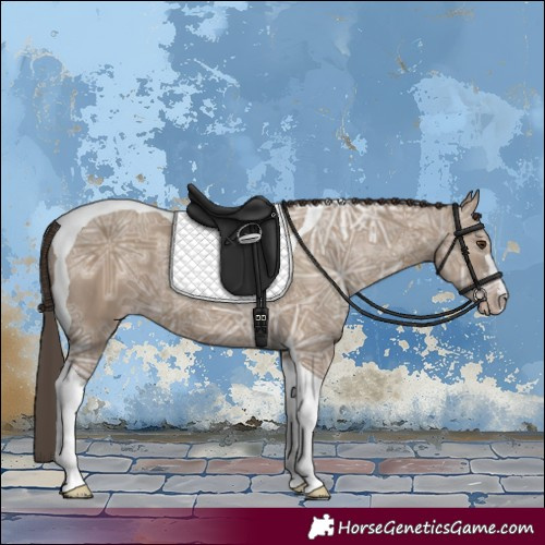 Horse Color:Classic Champagne Ice Tobiano