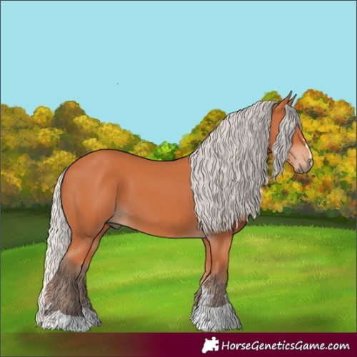 Horse Color:Silver Bay 