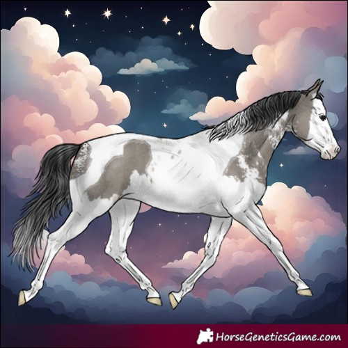 Horse Color:Grullo Sabino Splash Tobiano