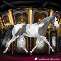 Horse Color:Grullo Splash Tobiano 