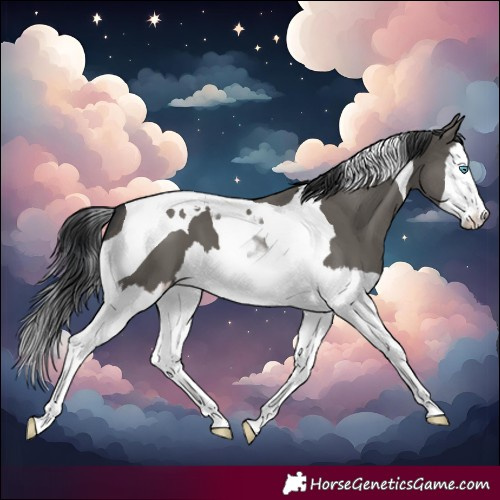 Horse Color:Grullo Splash Tobiano 
