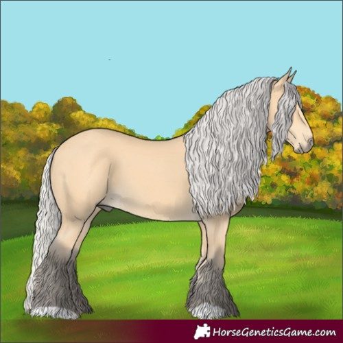 Horse Color:Silver Buckskin 